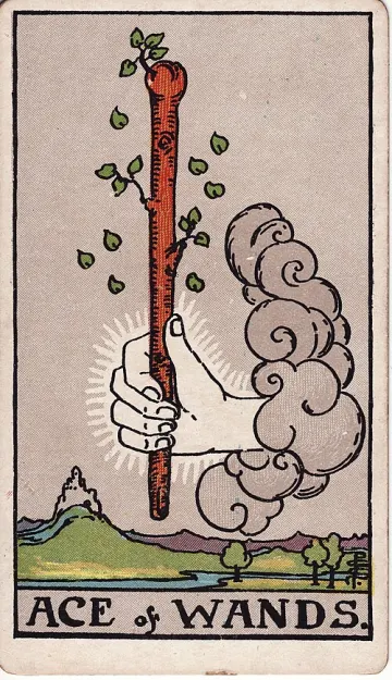 ไพ่ Ace of Wands (เอซไม้เท้า)