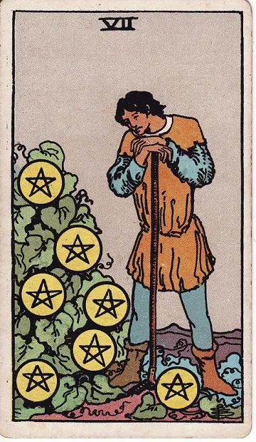 ไพ่ Seven of Pentacles (เจ็ดเหรียญ)